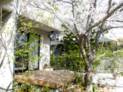 春が待ち遠しくなるお庭 – 大阪府高石市 S様邸の詳細はこちら