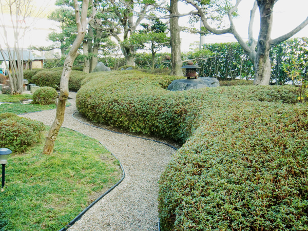 曲線が美しいサツキメインの庭園【剪定】－大阪府吹田市Ｉ様邸