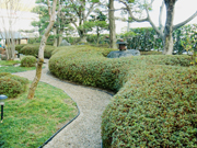 曲線が美しいサツキメインの庭園【剪定】－大阪府吹田市Ｉ様邸の詳細はこちら