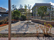 照り返しの少ない家庭菜園のあるお庭 – 大阪府豊中市 O様邸の詳細はこちら